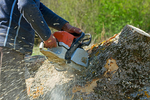 Lawn Irrigation Installation and Maintenance in Csar Chvez, TX